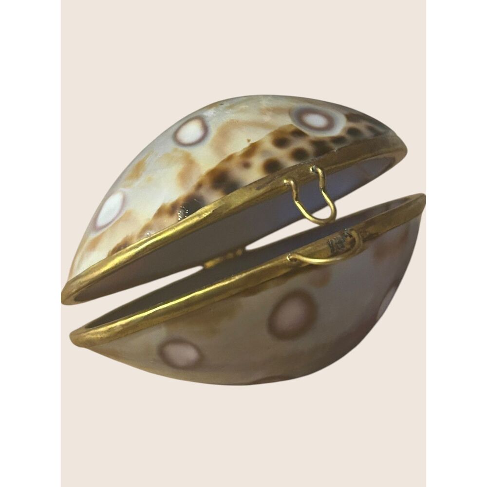 🐚 VTG TIGER COWRIE SHELL TRINKET BOX POLKA DOT BRASS CLOSURE DECORATIVE HOLDER